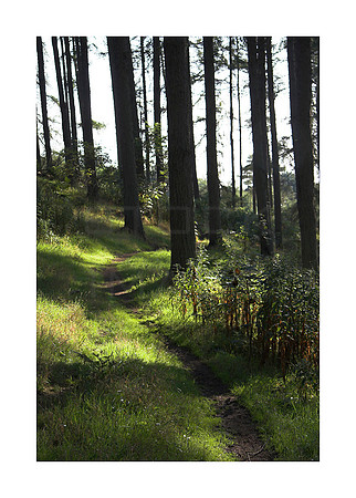 Path to Eternity_8294