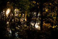 Impressions of Autum_6869-local