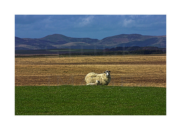 Mother and Son_A3_print