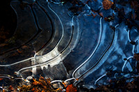 Winter Blues_1134-5D111