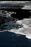 Shadows on the Shore_1_7101
