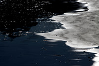 Shadows on the Shore_2_7102