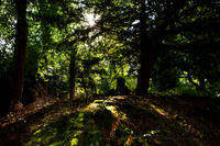Traquair House Stone_3419-5D111