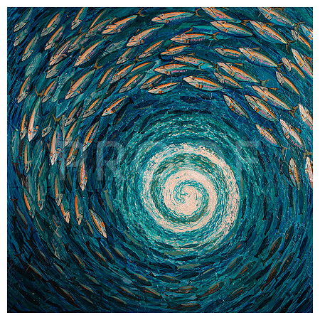 Circulating Fish_8.5x8.5_3452-5D111