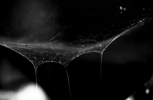 The Matrix Connects_2086