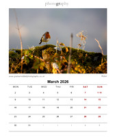 04_Mar_2026