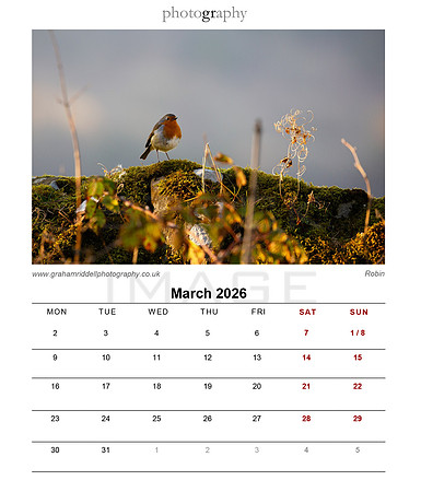 04_Mar_2026