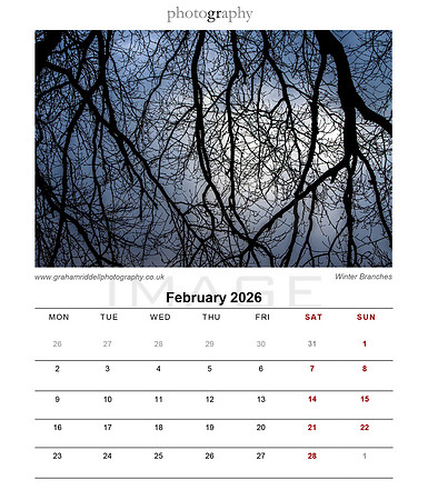 03_Feb_2026