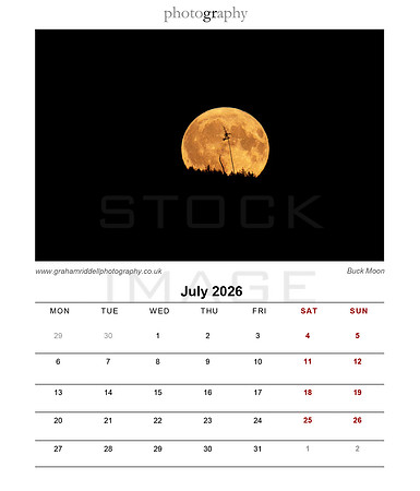 08_Jul_2026