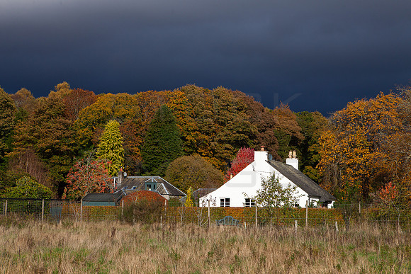White Croft below Leaden Sky_2354-5D-autumn