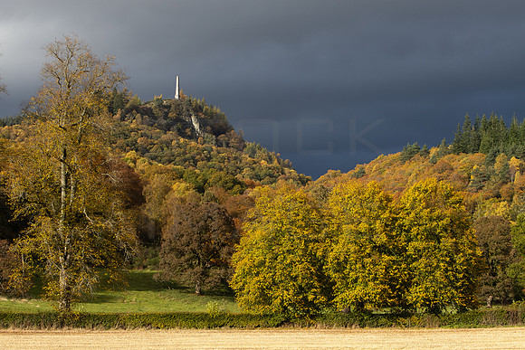 Melville Monument_Comrie_2446-90D-autumn