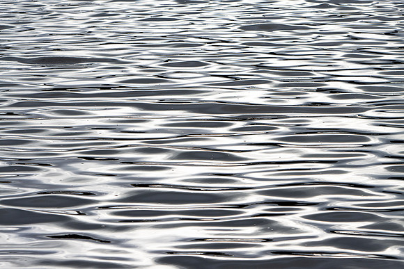 Mercury Waters_2626-90D-autumn