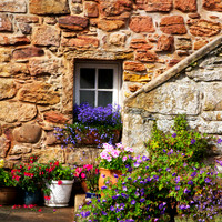 Garden Window