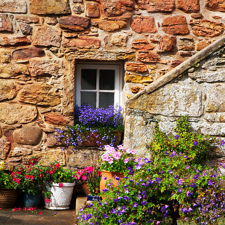Garden Window