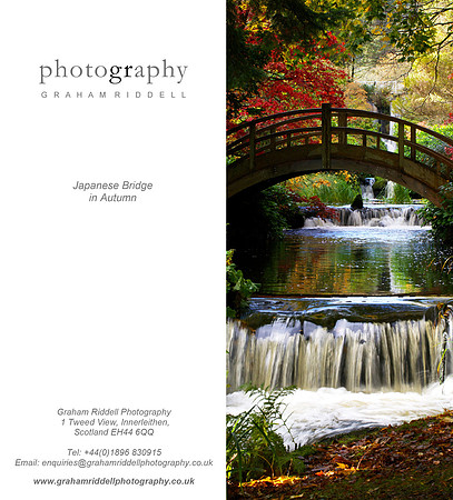 Japanese Bridge in Autumn_2015-1