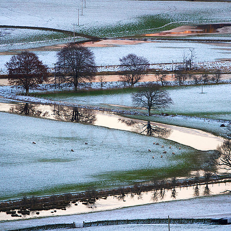 The Land Reflects_8928_card