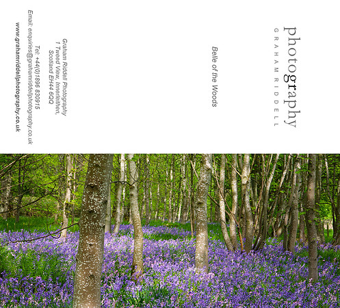 Belle of the Woods_2015-1