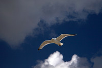 AIR