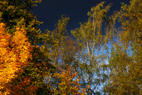 A Glorious Autumn Day_6886