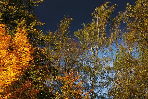 A Glorious Autumn Day_6886