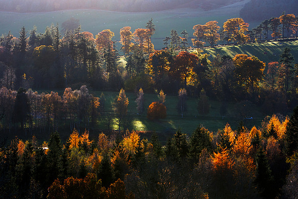 November Autumn Light_3593