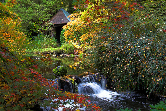 The Secret Garden