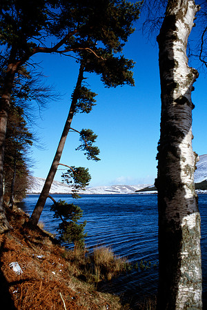 St Mary's Loch