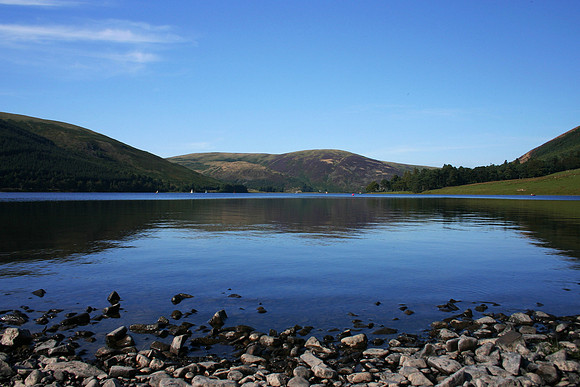 Tranquil Shore