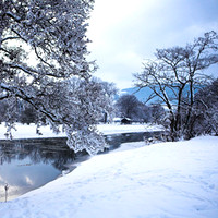 The Frozen Riverbank_2138 copy