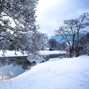 The Frozen Riverbank_2138 copy