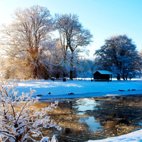 Frozen Riverbank_4917 copy