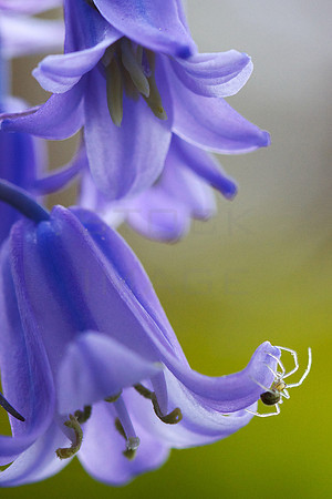 A Delicate Touch_0662