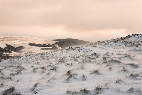 Caerlee Hill in Winter_3403
