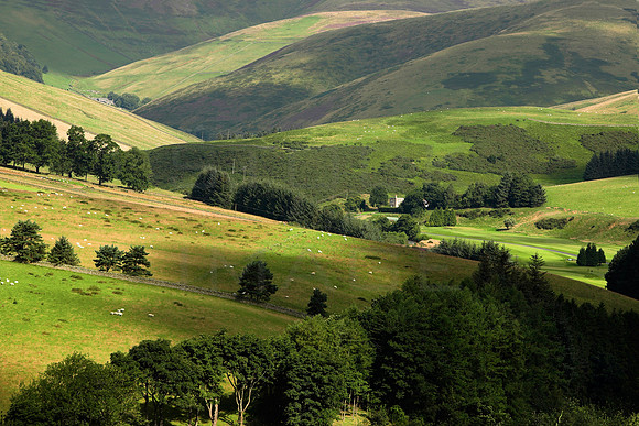 Leithen Valley_0097