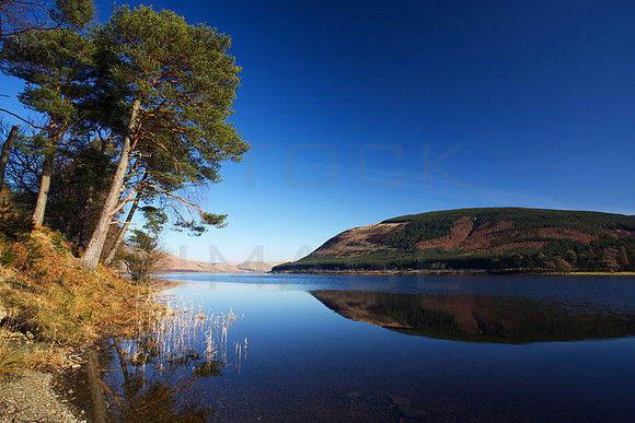Loch Pines_6132