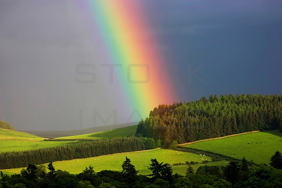 Traquair Rainbow_3309