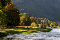 River Tweed in Autumn Light._2290