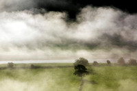 Mist