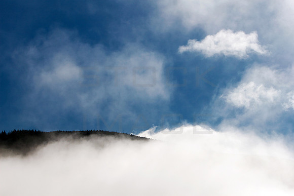 Misty Morning_3209