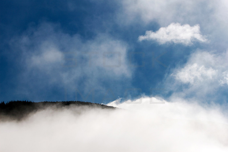 Misty Morning_3209