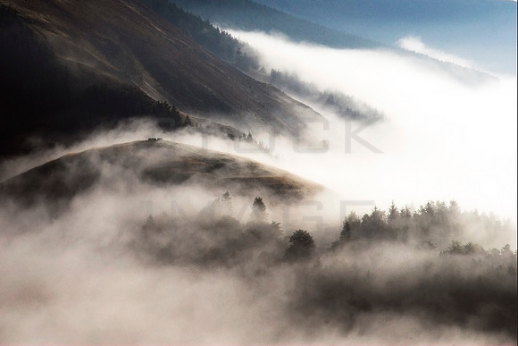 Primordial Land_8287