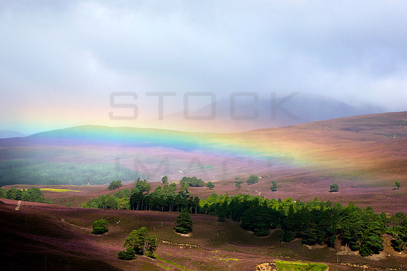 Mar Rainbow_6268