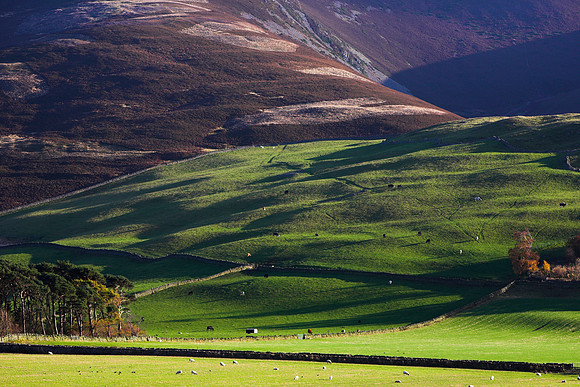 The Lower Slopes of Hundleshope_1007