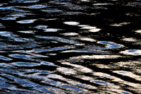 Black and Blue_0255-90D