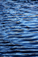 Rippes in Time_0101-90D