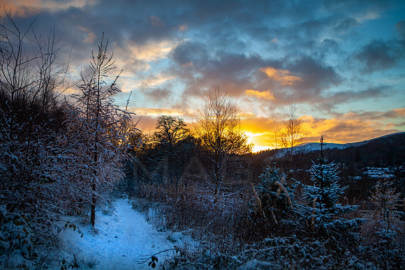 Winter Woodland Sunset_2887-5D-local