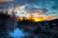 Winter Woodland Sunset_2887-5D-local
