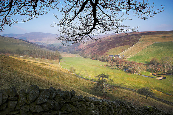 Orchard Walls towards Glen_4419