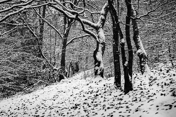 Winterfall_2877-5D-local