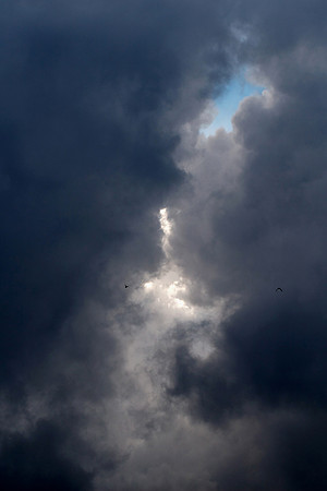 Beyond the Now_9045
